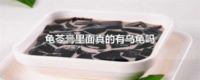 ​龟苓膏里面真的有乌龟吗