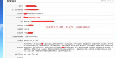 ​融资担保公司是做什么的（融资担保公司有前途吗）